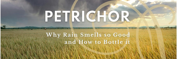 Petrichor: Why Rain Smells So Good and How to Bottle It